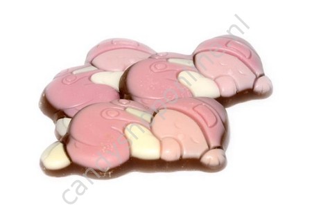 Dragee Chocolade Baby's Roze/Wit